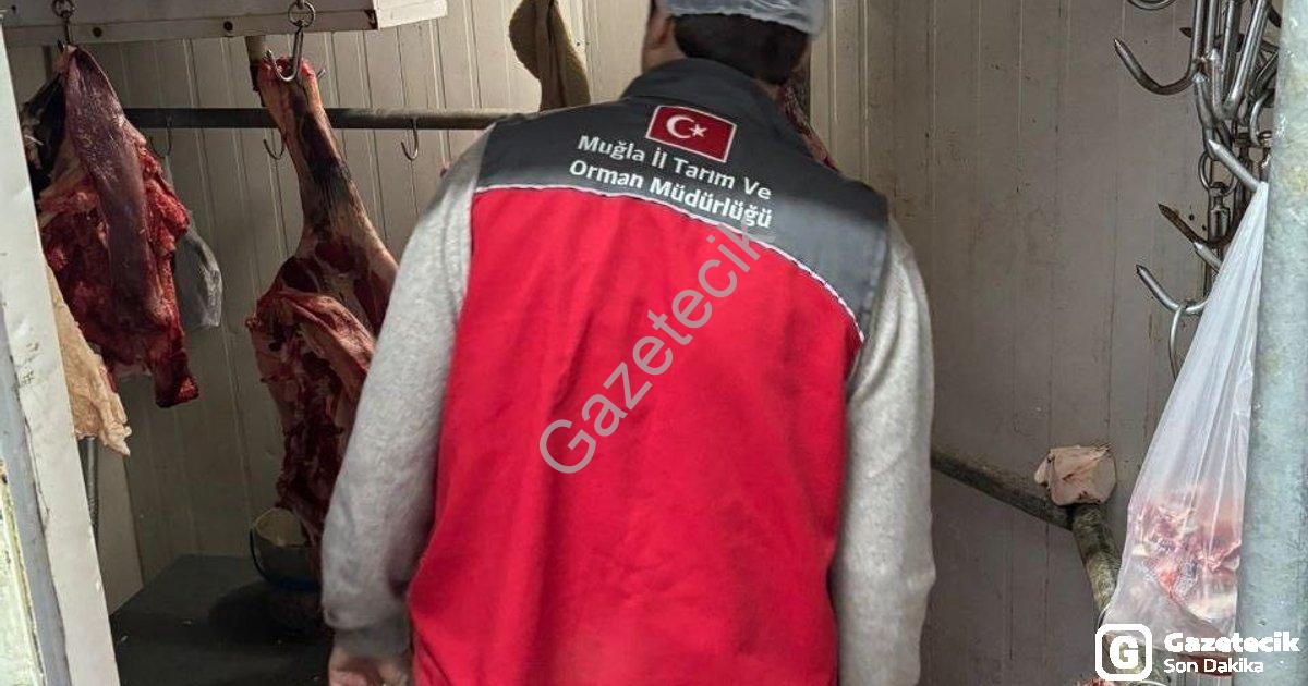 "Menteşe'de Halk Sağlığı İçin Kasaplara Sıkı Denetim" başlıklı haber için fotorealistik, profesyonel