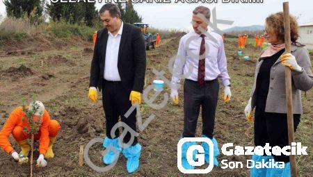 Dalaman’da Mahkûmlar Doğayla Buluştu: Cezaevine Sakız Ağacı Dikimi