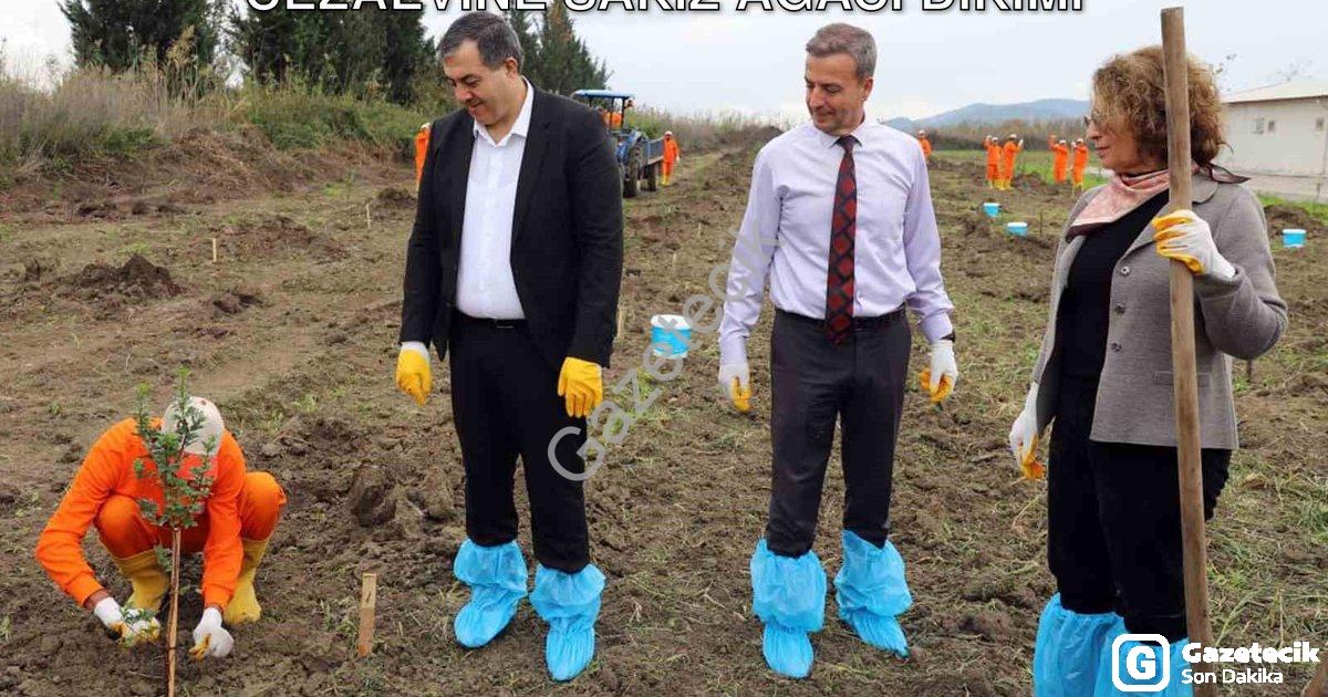 "Dalaman'da Mahkûmlar Doğayla Buluştu: Cezaevine Sakız Ağacı Dikimi" başlıklı haber için fotorealist