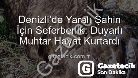 Denizli’de Yaralı Şahin İçin Seferberlik: Duyarlı Muhtar Hayat Kurtardı