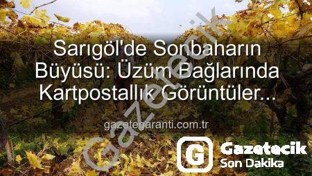 Sarıgöl’de Sonbaharın Büyüsü: Üzüm Bağlarında Kartpostallık Manzaralar Eşliğinde Budama Çalışmaları Başladı