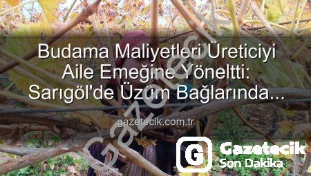 Budama Maliyetleri Üreticiyi Aile Emeğine Yöneltti: Sarıgöl’de Üzüm Bağlarında Yeni Dönem