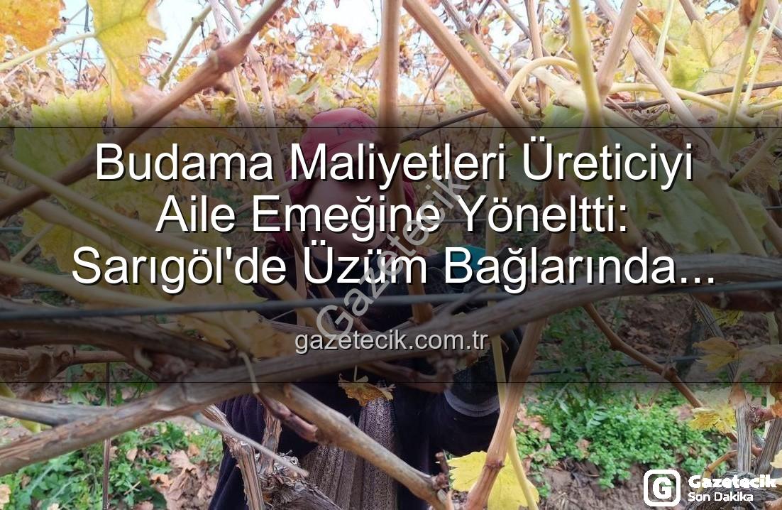 budama maliyeti - Budama Maliyetleri Üreticiyi Aile Emeğine Yöneltti: Sarıgöl'de Üzüm Bağlarında Yeni Dönem