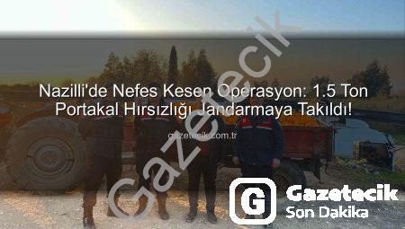 Nazilli’de Nefes Kesen Operasyon: 1.5 Ton Portakal Hırsızlığı Jandarmaya Takıldı!