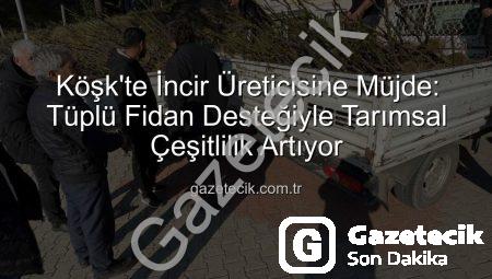 Köşk’te İncir Üreticisine Müjde: Tüplü Fidan Desteğiyle Tarımsal Çeşitlilik Artıyor