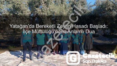Yatağan’da Bereketli Zeytin Hasadı Başladı: İlçe Müftülüğü’nden Anlamlı Dua