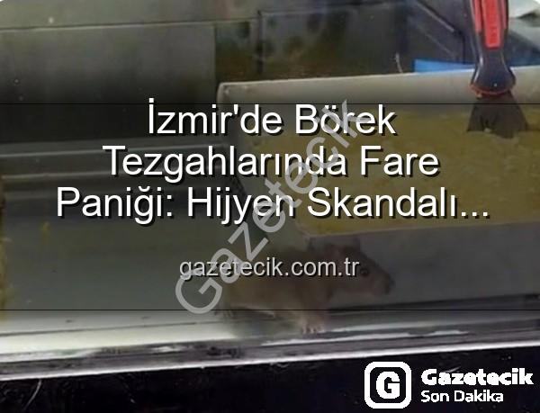 izmir börekçi fare - İzmir'de Börek Tezgahlarında Fare Paniği: Hijyen Skandalı Mühürlendi!