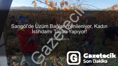 Sarıgöl’de Üzüm Bağları Yenileniyor, Kadın İstihdamı Tavan Yapıyor!