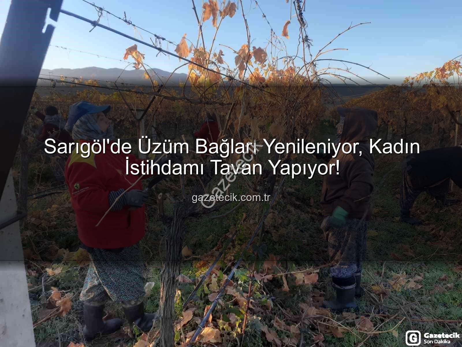 kadın istihdamı - Sarıgöl'de Üzüm Bağları Yenileniyor, Kadın İstihdamı Tavan Yapıyor!