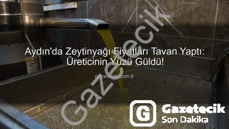 Aydın’da Zeytinyağı Fiyatları Tavan Yaptı: Üreticinin Yüzü Güldü!