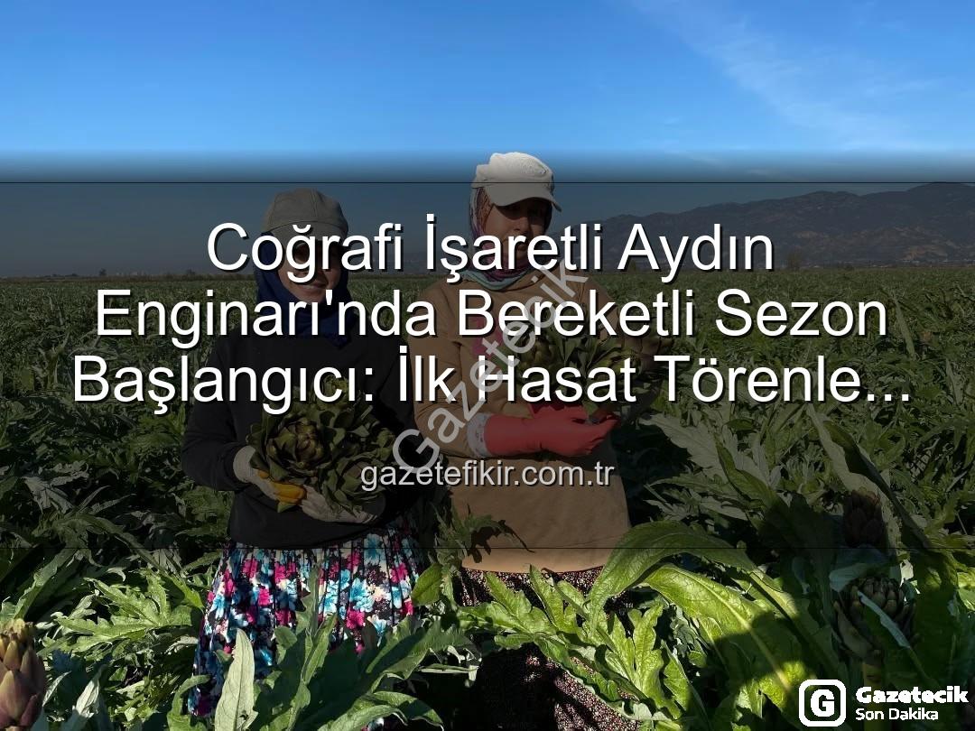 Aydın Enginarı - Aydın Enginarı Sezonu Açıldı: Coğrafi İşaretli Lezzetin İlk Hasadı Yapıldı!
