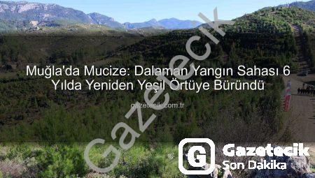 Muğla’da Mucize: Dalaman Yangın Sahası 6 Yılda Yeniden Yeşil Örtüye Büründü