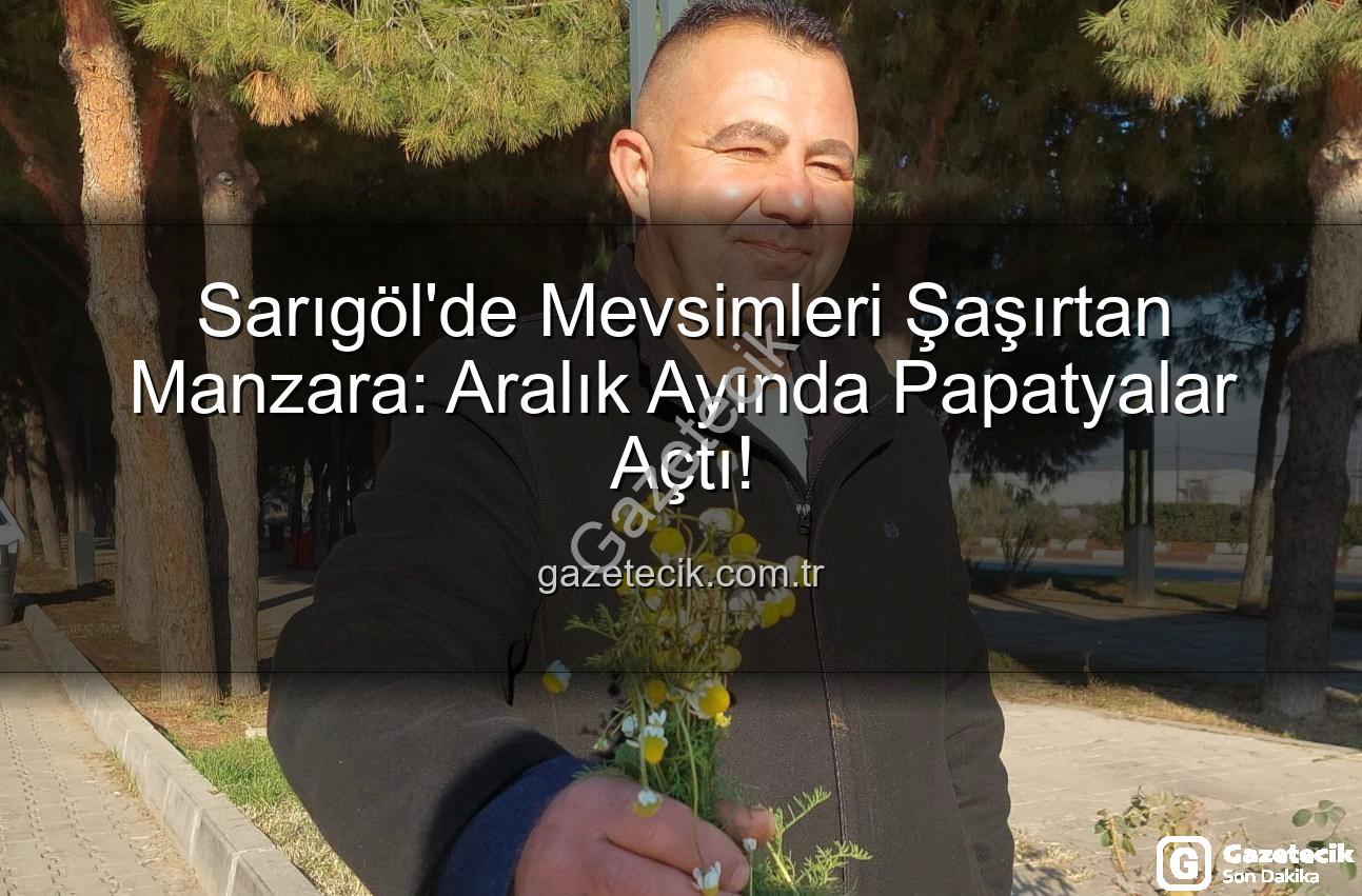 Aralık ayı papatyaları - Sarıgöl'de Mevsimleri Şaşırtan Manzara: Aralık Ayında Papatyalar Açtı!